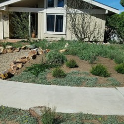 A house with a garden and walkway in front of it