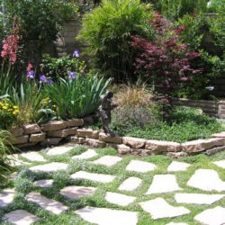 A garden with a stone path and plants.