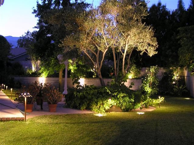 A garden with trees and lights at night.