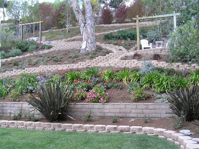 A garden with many plants and trees