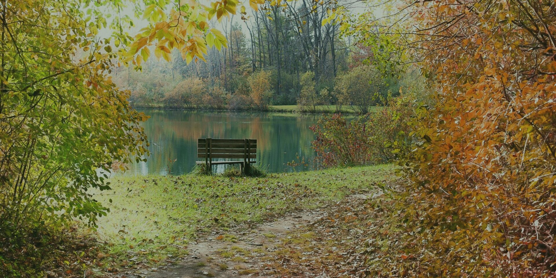 A bench sitting on the grass near a body of water.