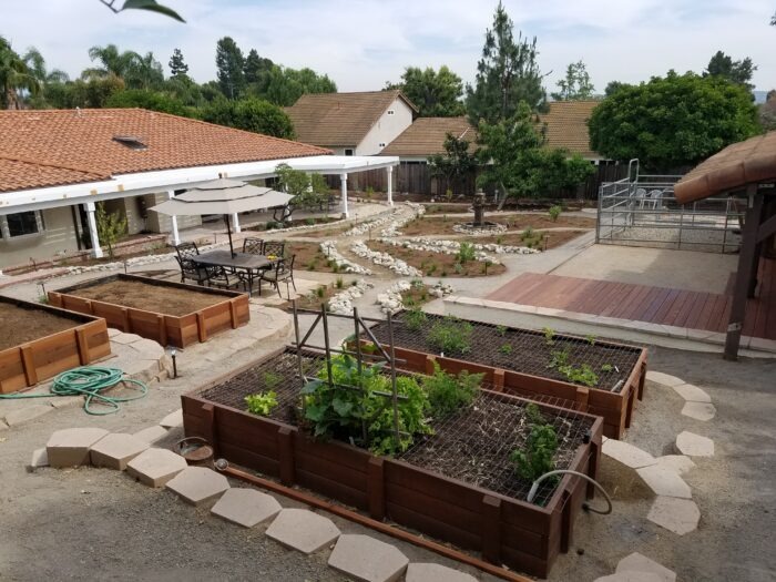 A garden with many different plants and trees.