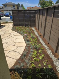 A garden with plants and rocks in the ground.