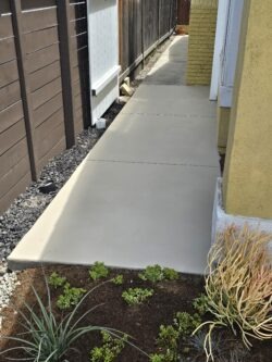 A walkway with concrete steps and plants in the grass.