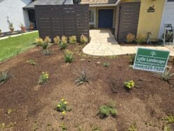 A yard with lots of plants and flowers.